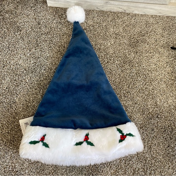 Chicago Bears Logo Colorblock Santa Hat NFL Football Forever Collectibles - Picture 2 of 10